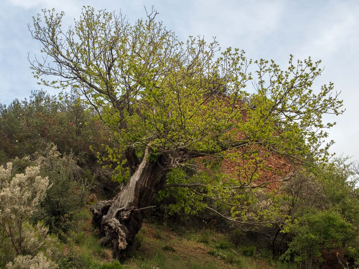 DSCF2057.jpg