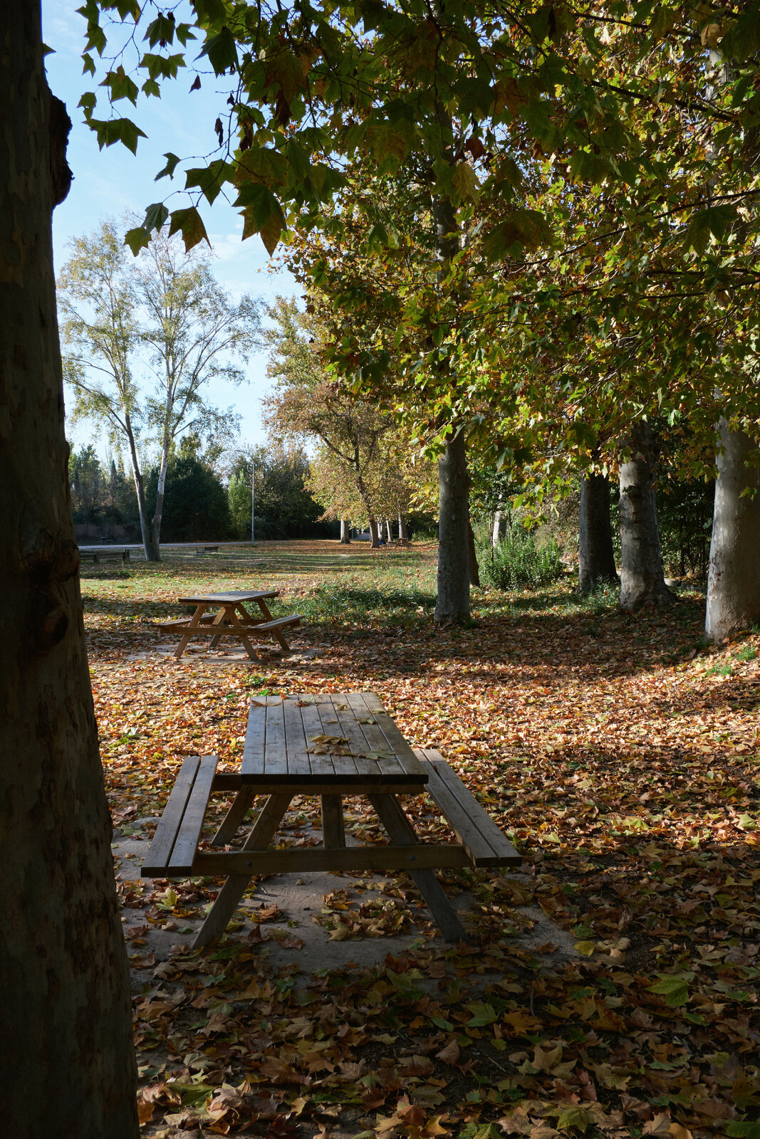 DSCF2084.jpg