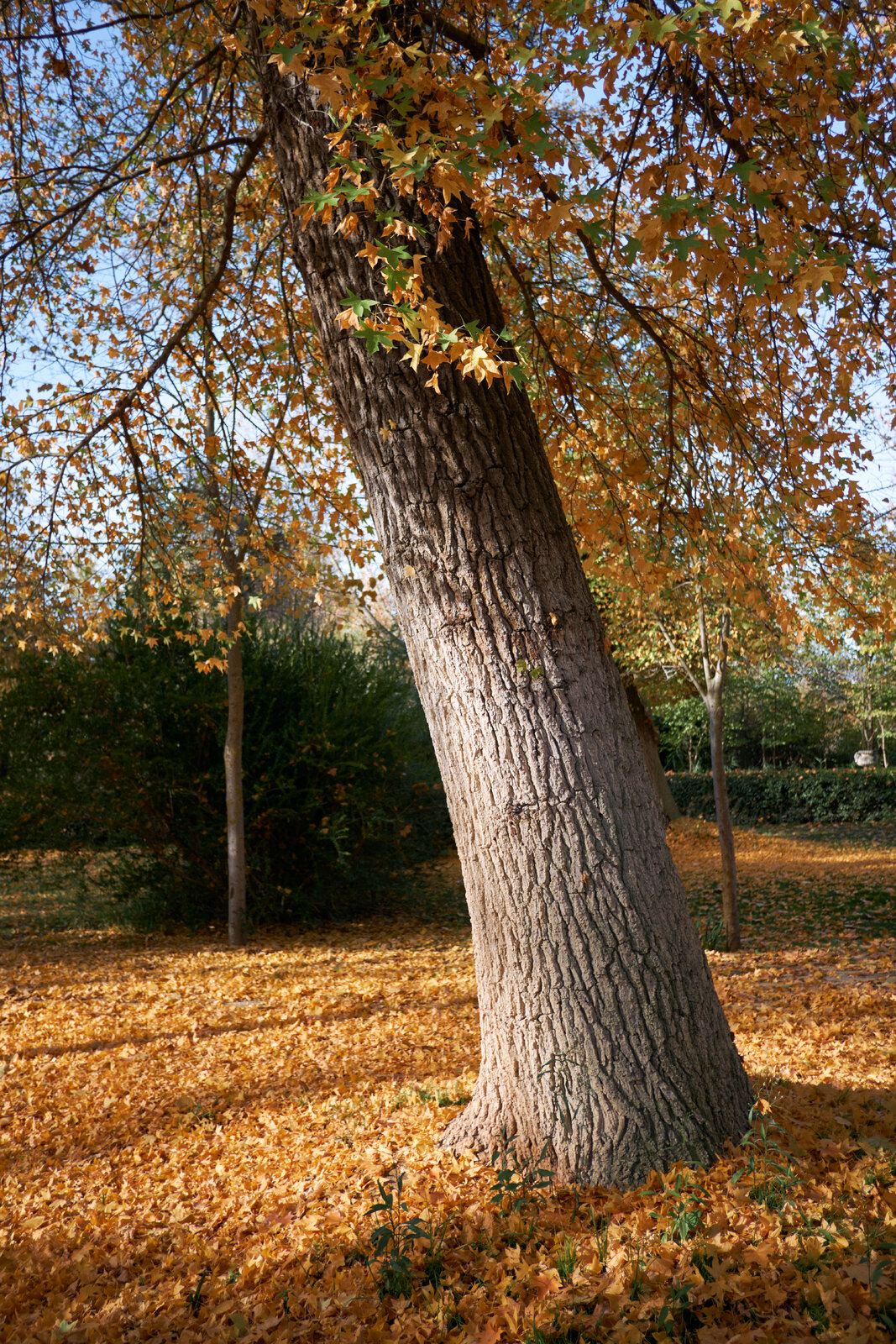 DSCF2143.jpg