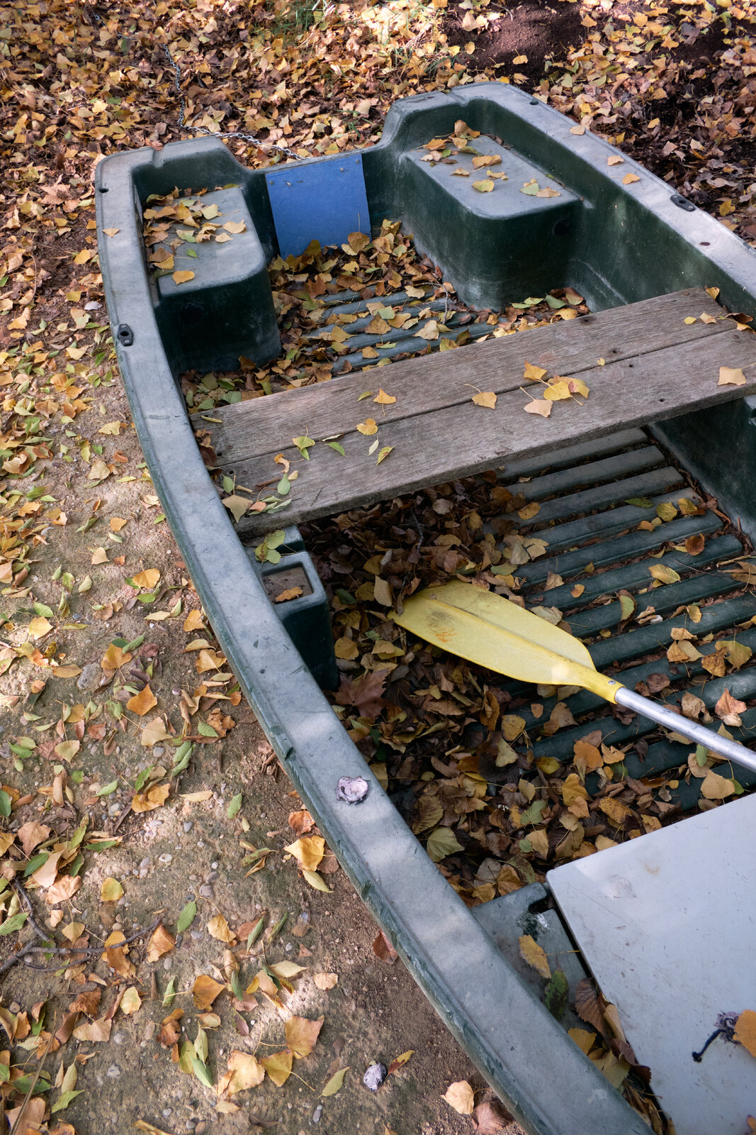 DSCF2147.jpg