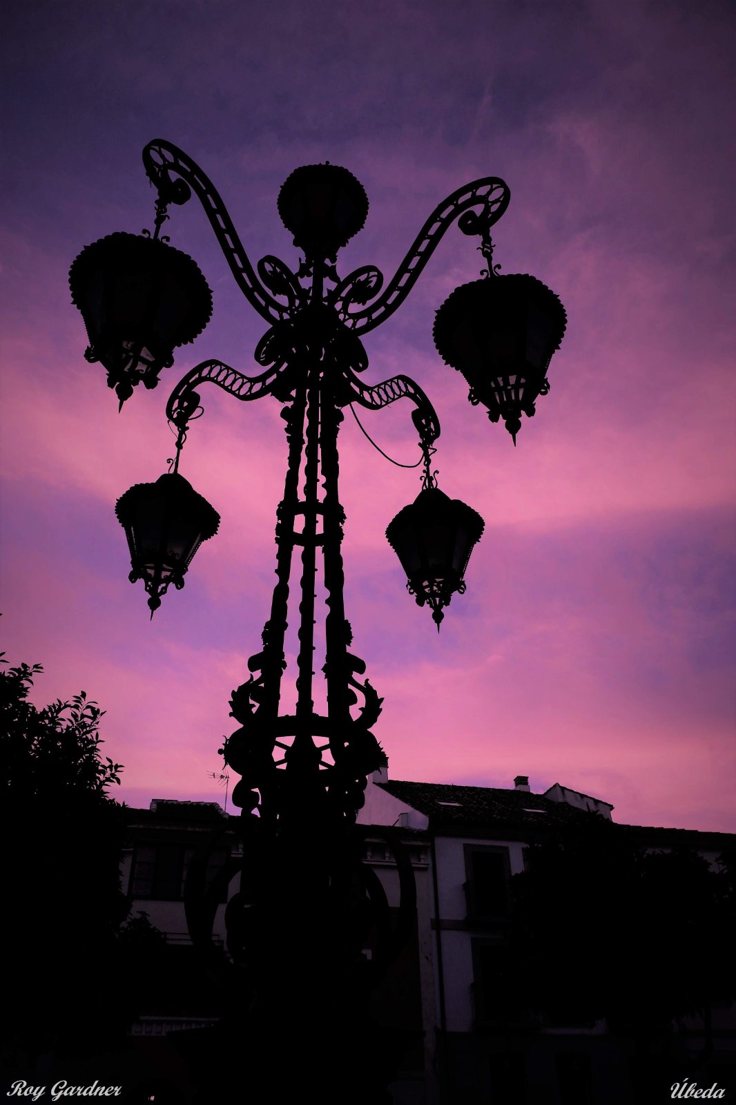 DSCF2182.JPG