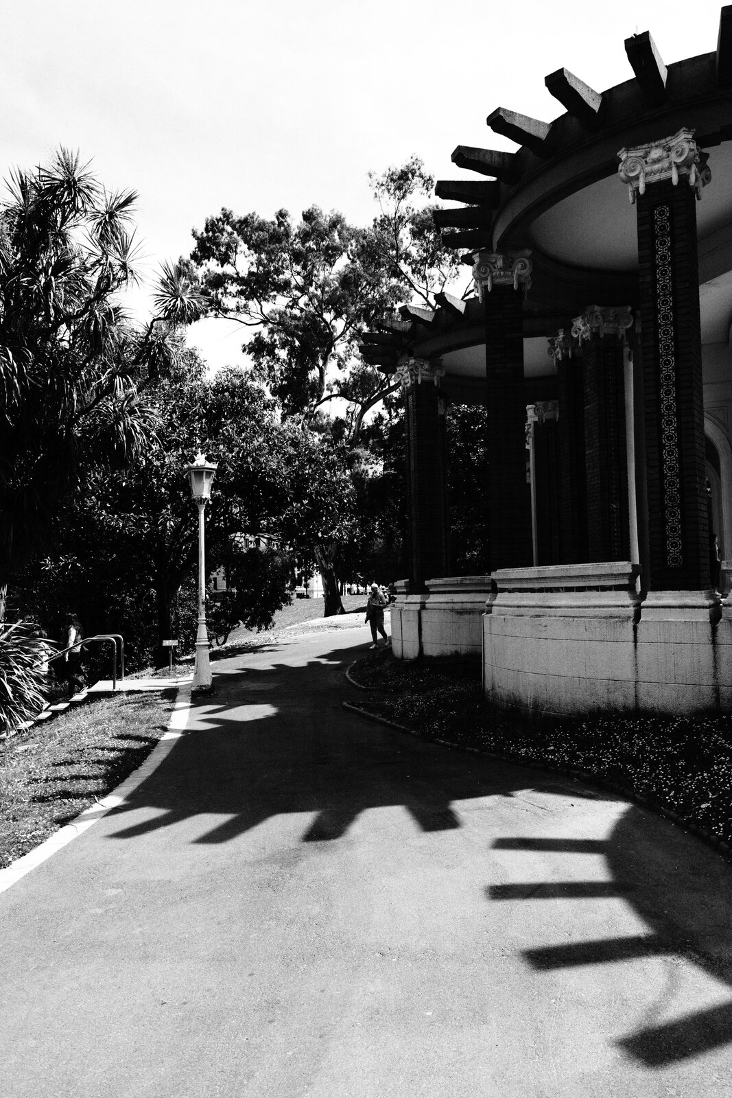 DSCF2207.jpg