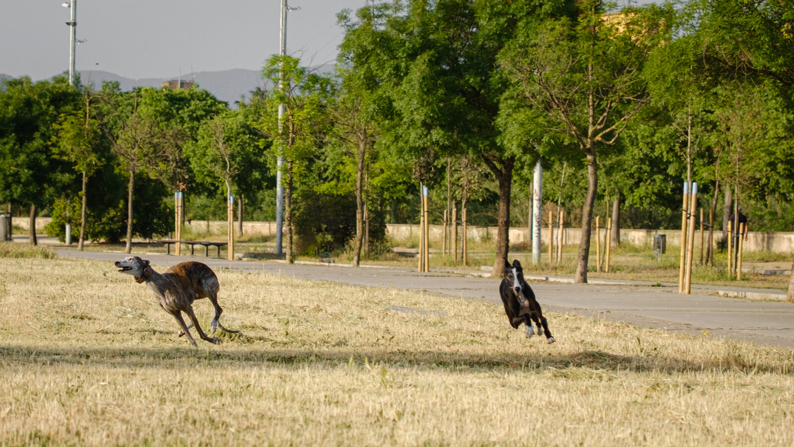DSCF2257.jpg