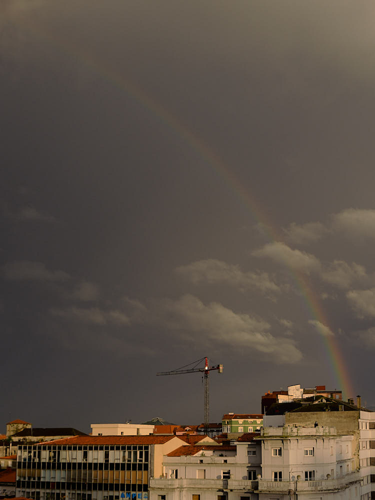 DSCF2304.jpg