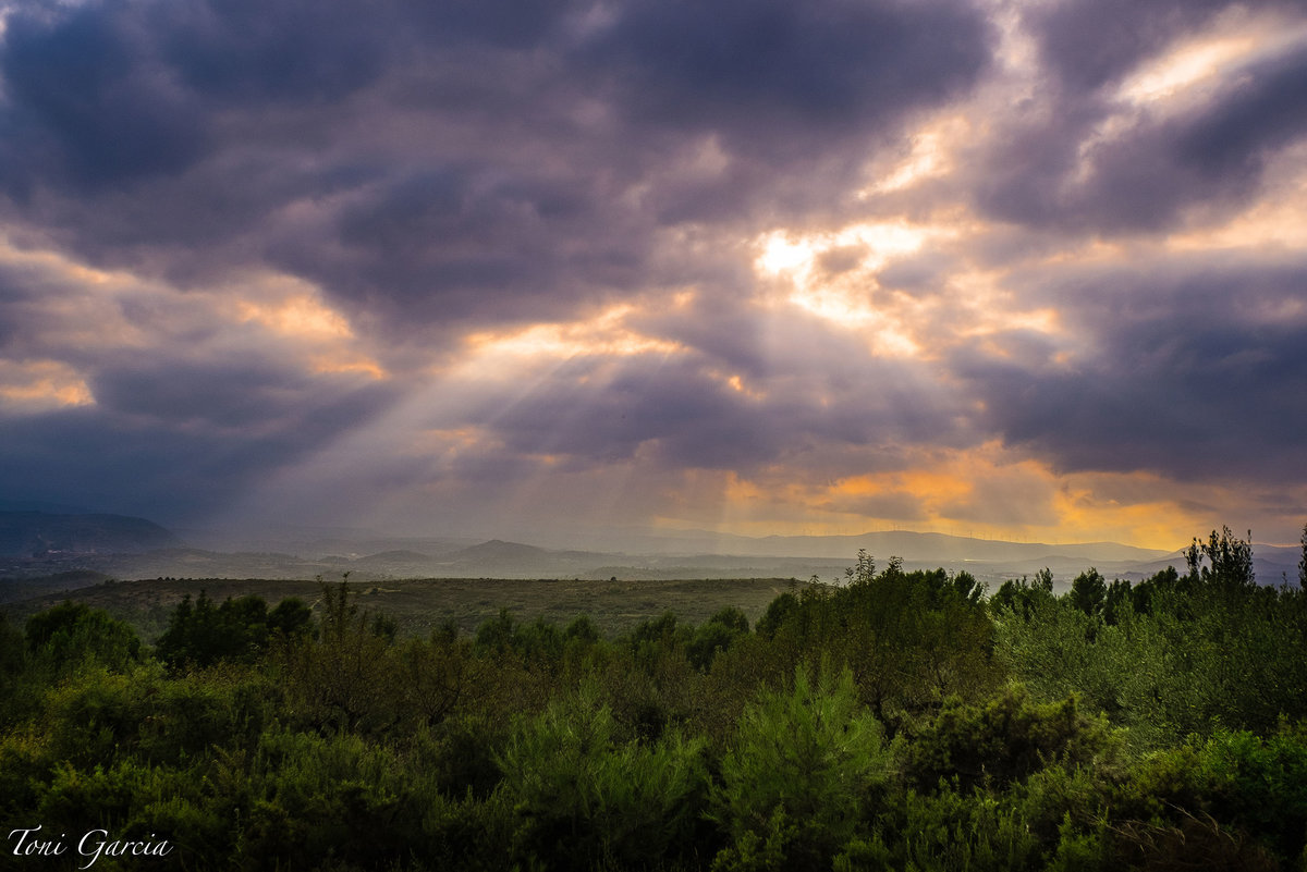 DSCF2567-1.jpg