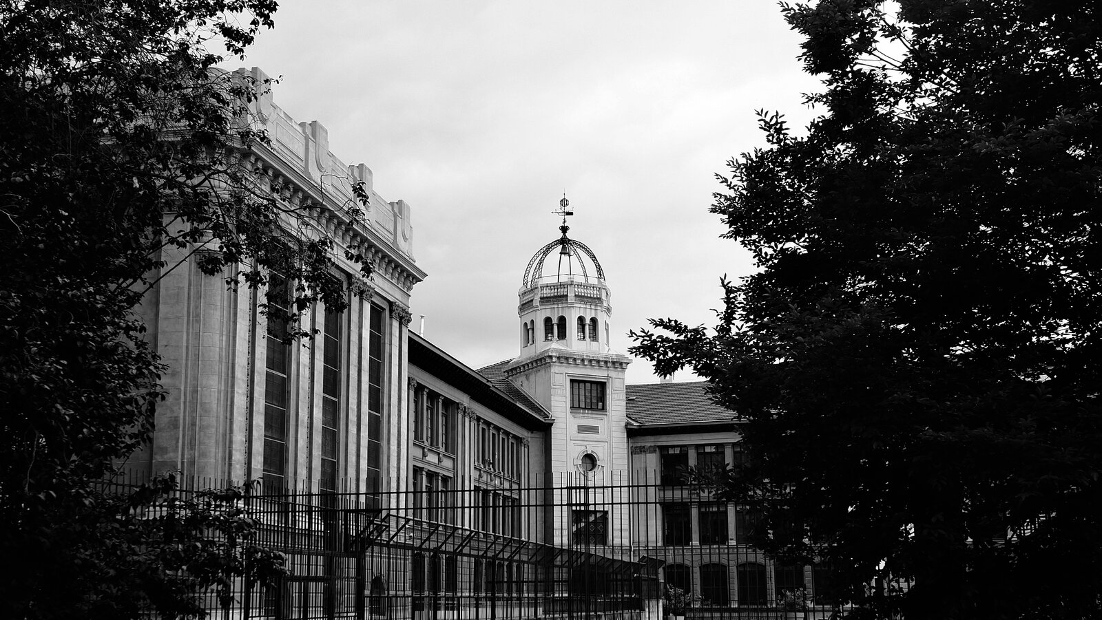 DSCF2577.jpg