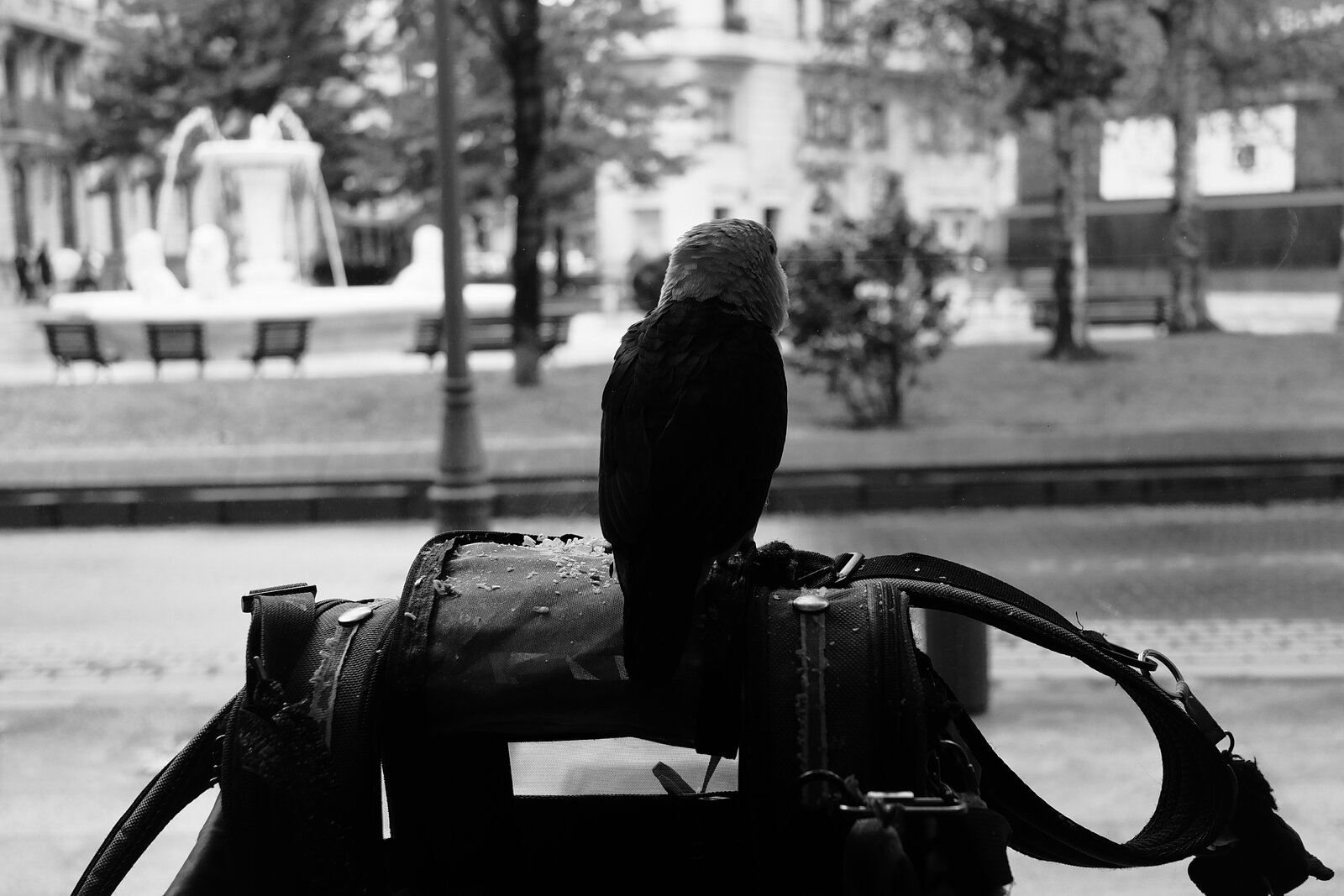 DSCF2580.JPG