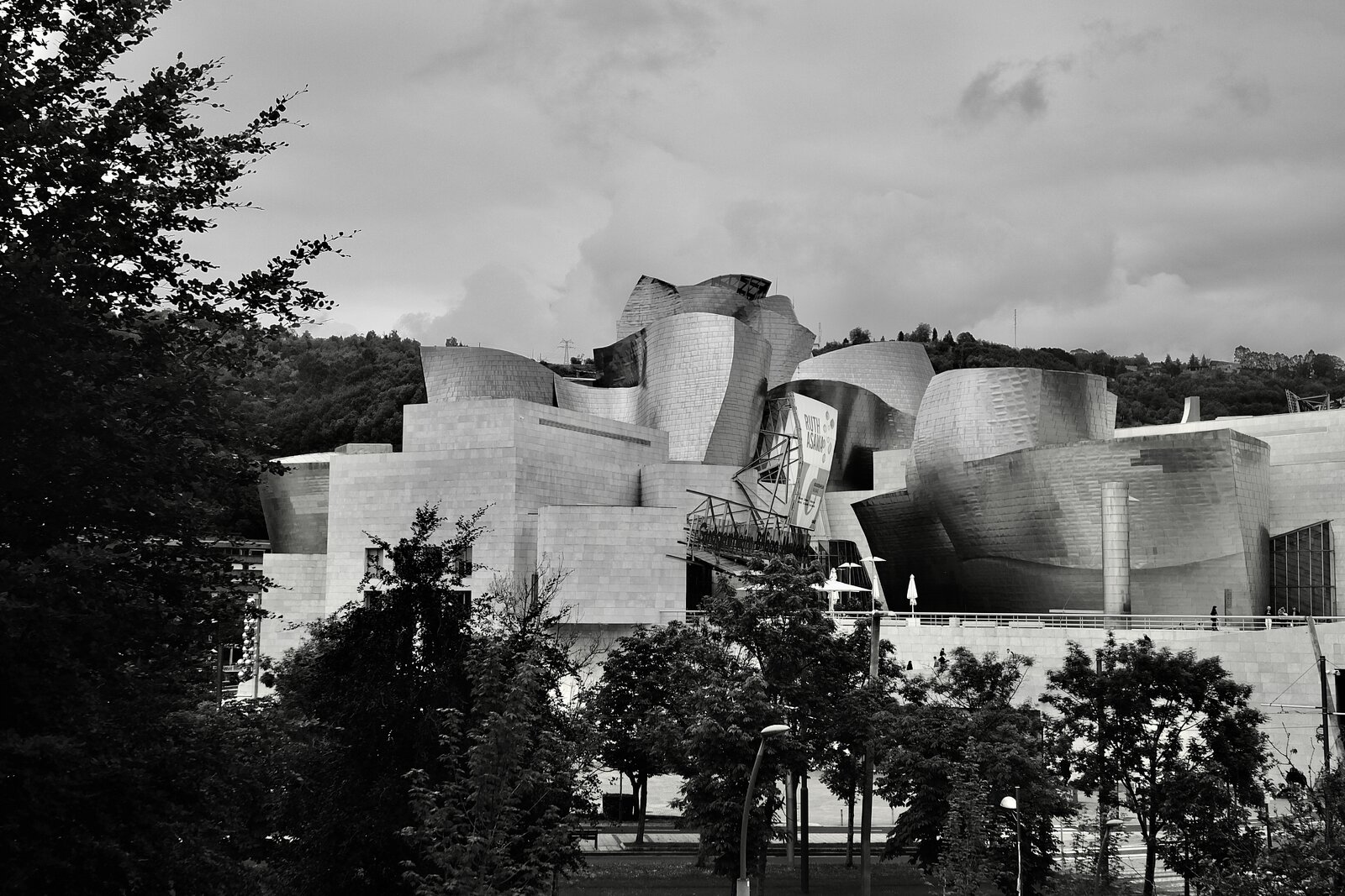 DSCF2584.jpg