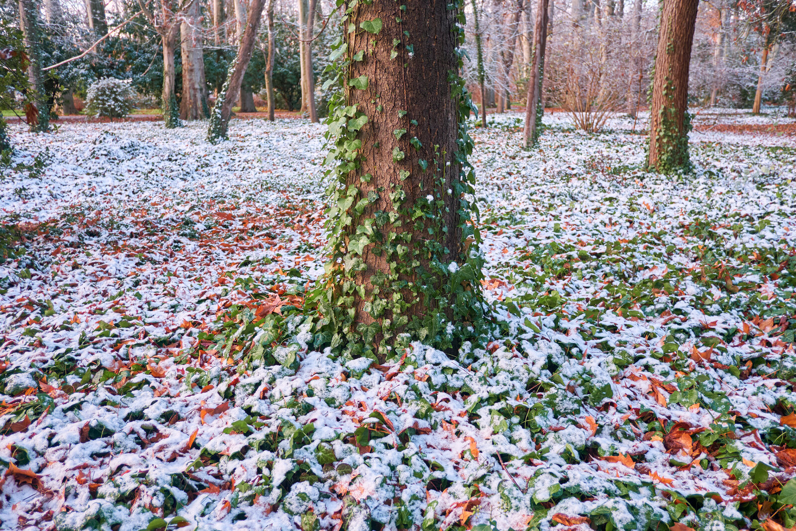 DSCF2692.jpg