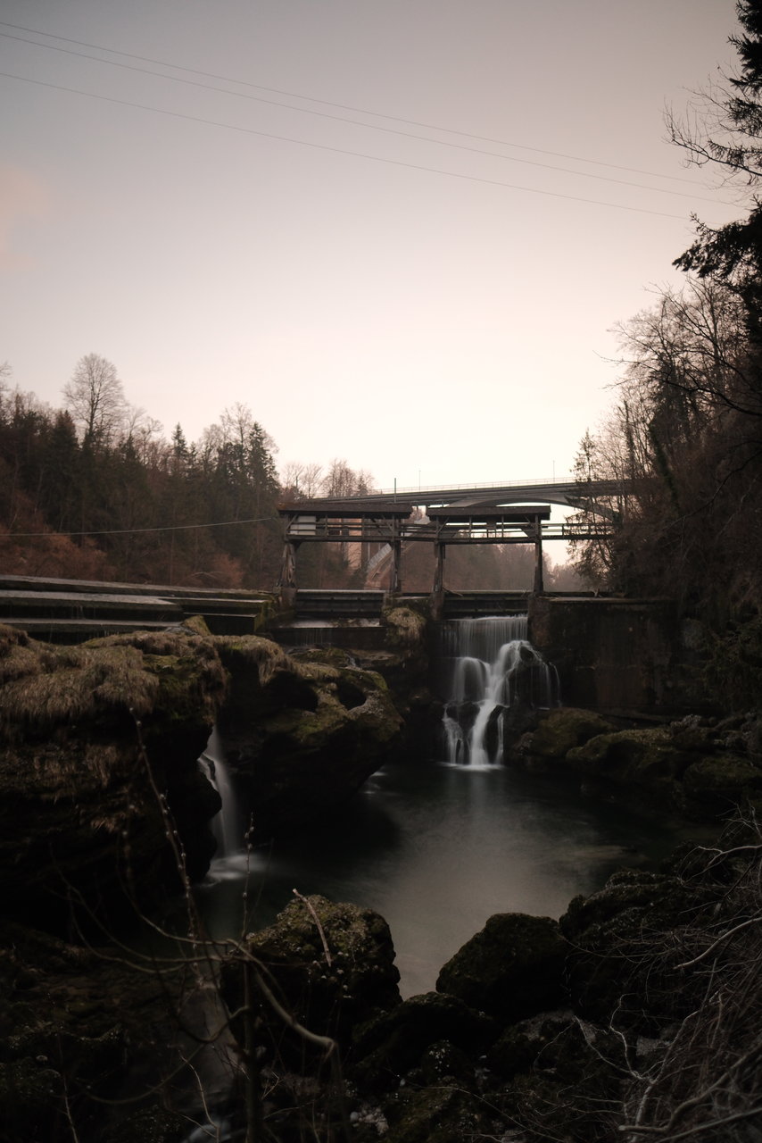 DSCF2731.JPG
