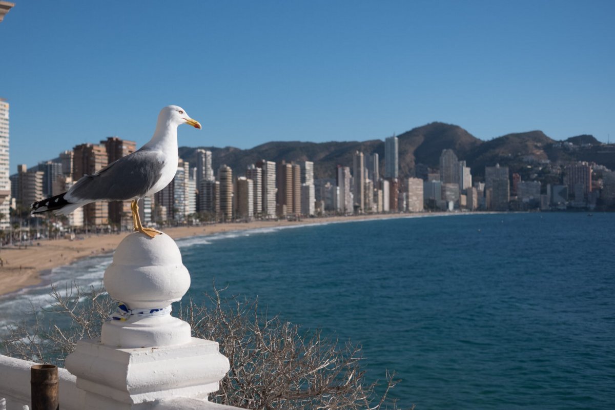 DSCF2778.jpg