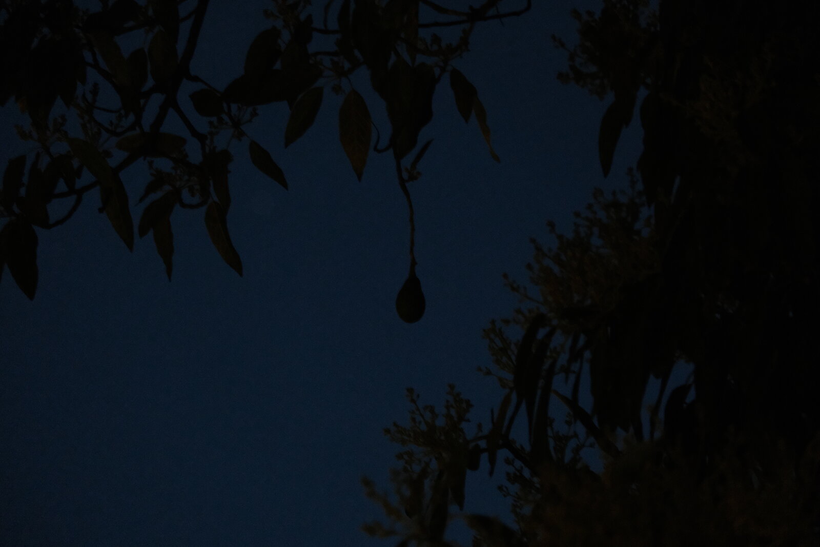 DSCF2825.JPG