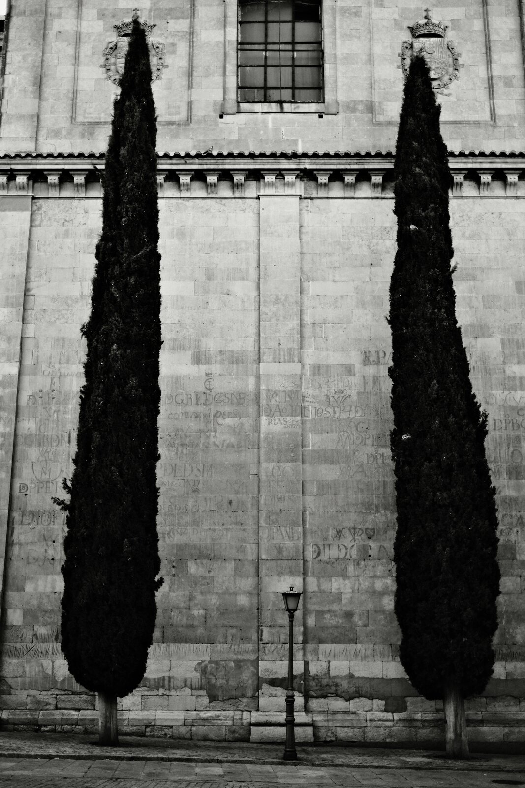 DSCF2851.jpg