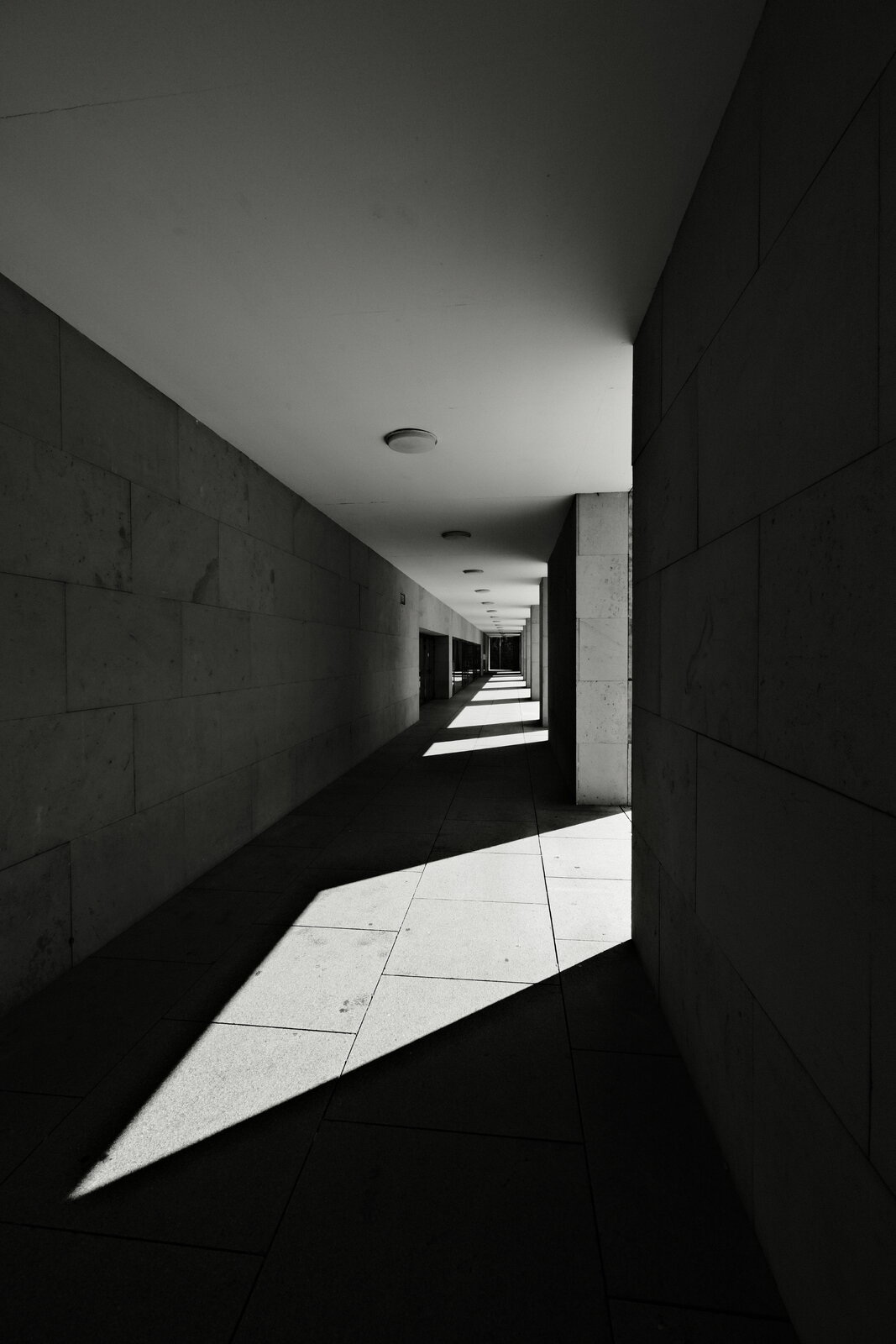 DSCF2894.JPG