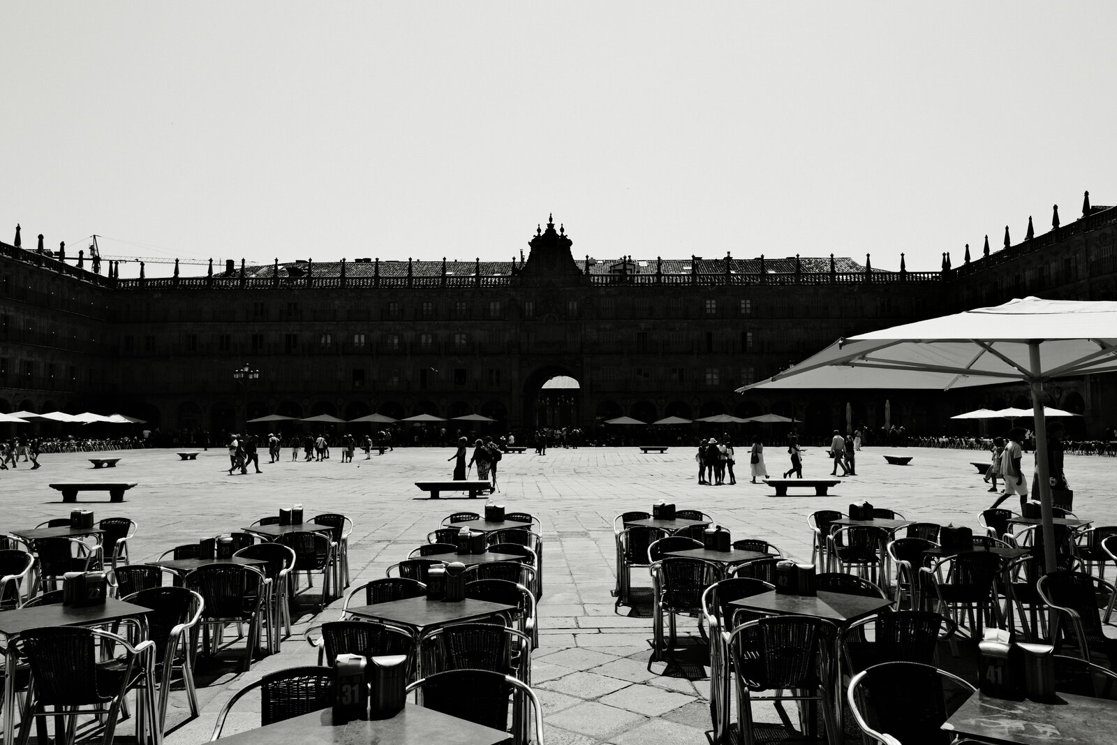 DSCF2916.JPG