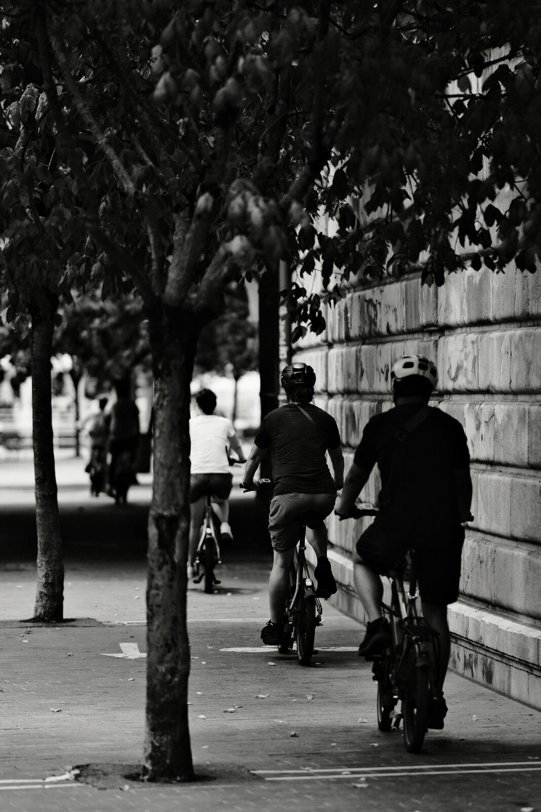 DSCF3030.jpg