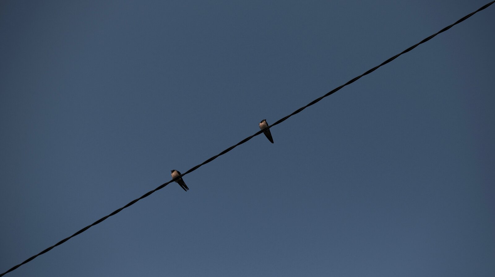 DSCF3051.jpg