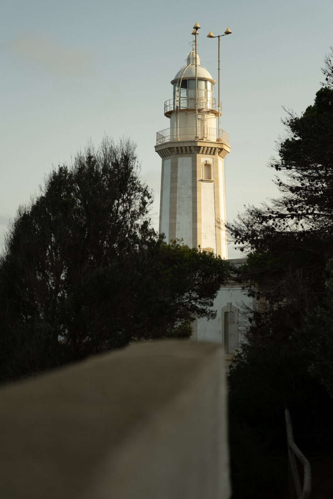 DSCF3055.jpg