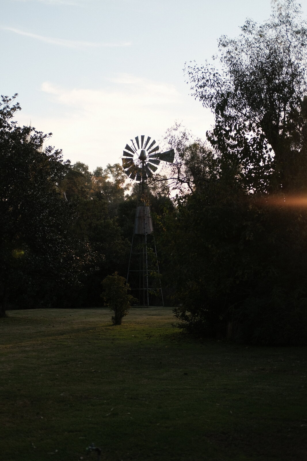 DSCF3075.JPG