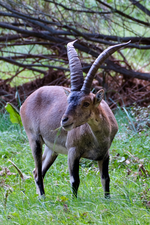 DSCF3237 (Copiar).jpg