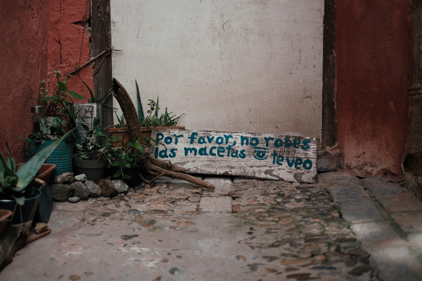 DSCF3273.jpg