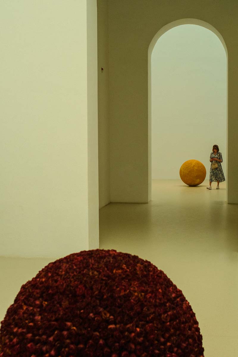 DSCF3343.jpg