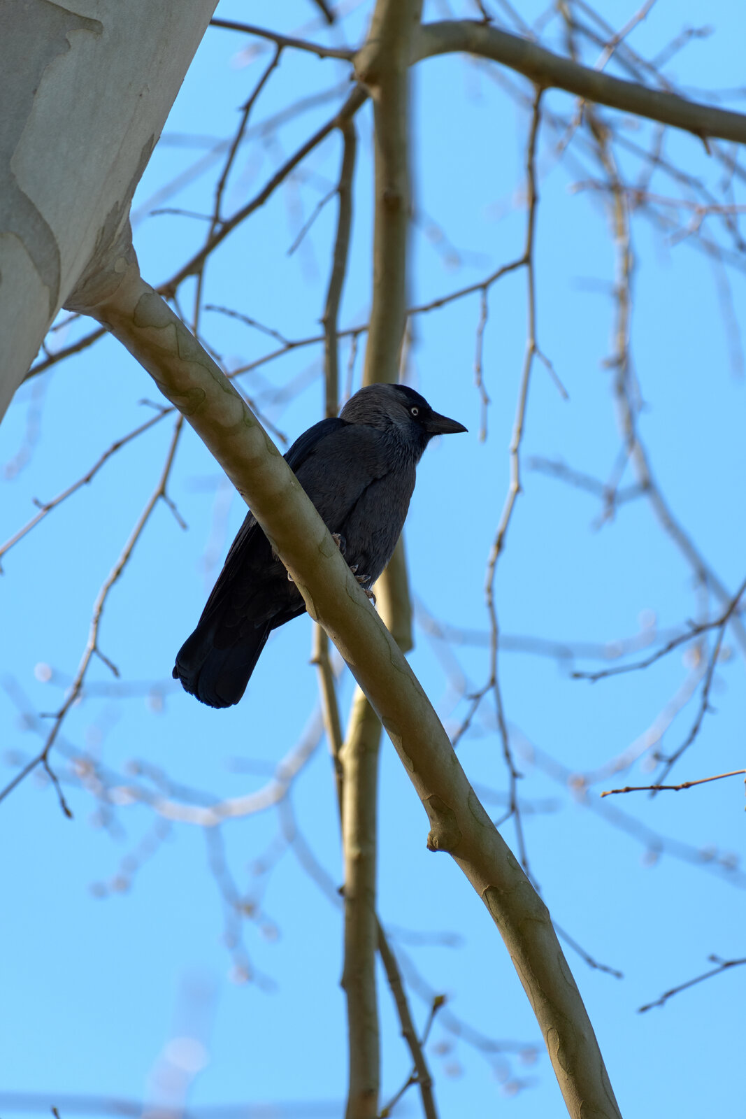 DSCF3425.jpg