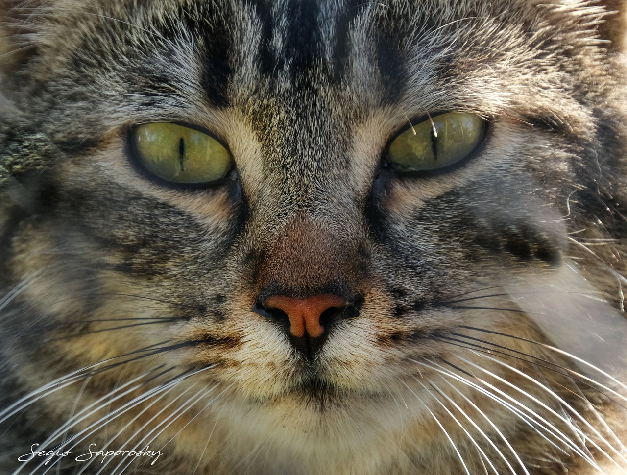 DSCF3434.jpg