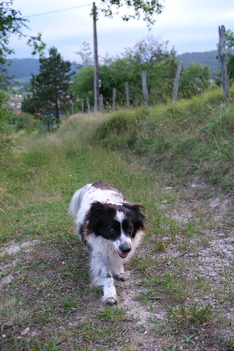 DSCF3490.JPG
