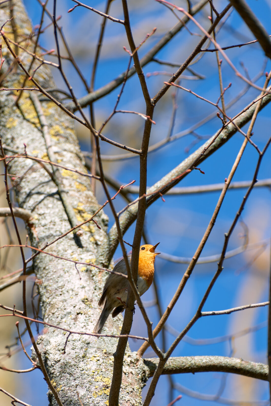 DSCF3499.jpg