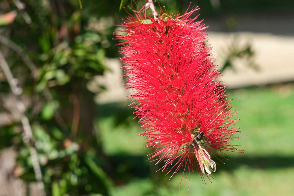 DSCF3865.jpg