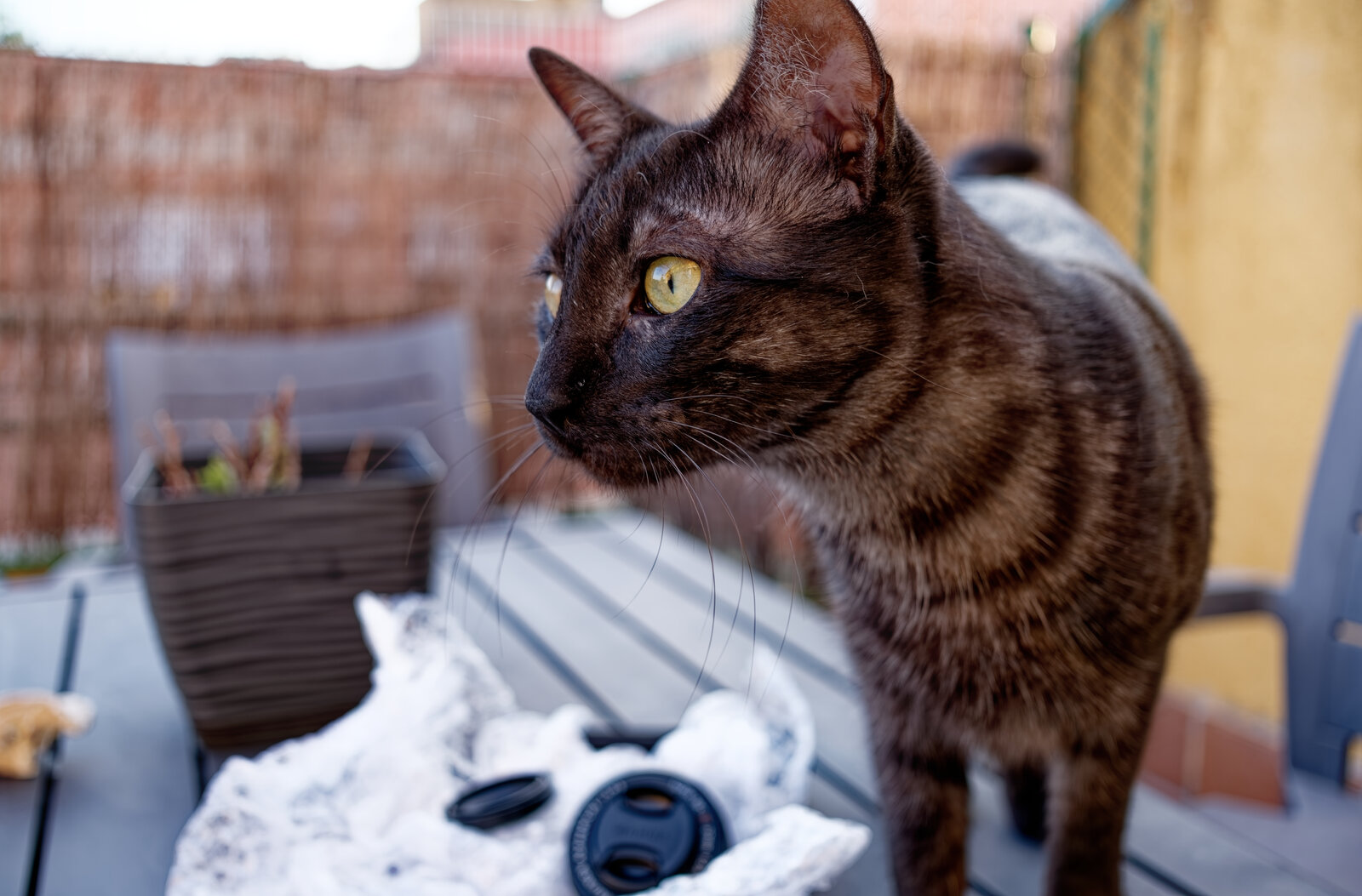 DSCF3935_DxO.jpg