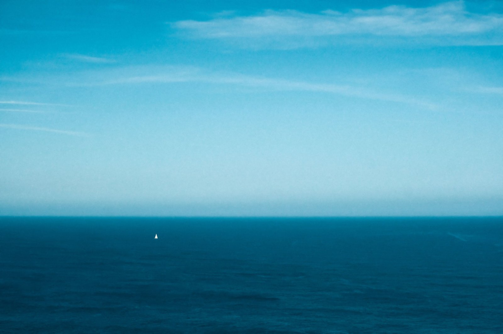 DSCF3951r.jpg