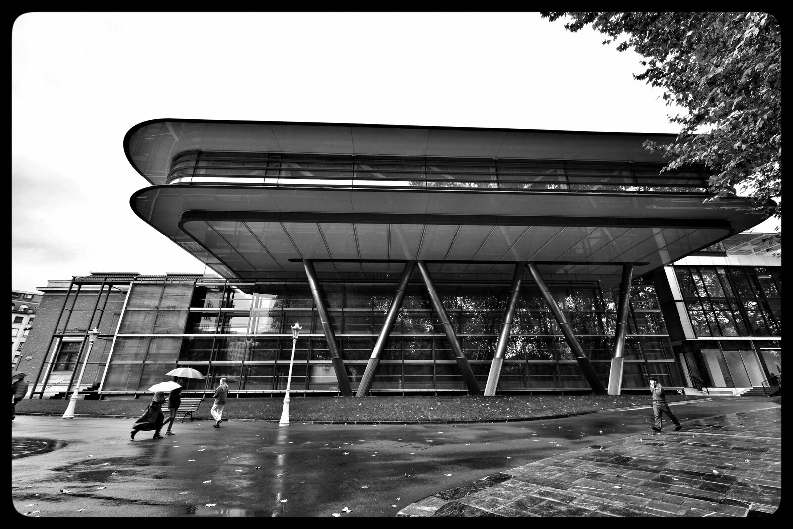 DSCF4489_SnapseedCopy.jpeg