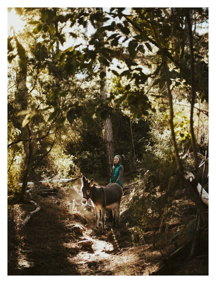 DSCF4515.jpg DSCF4515.jpg