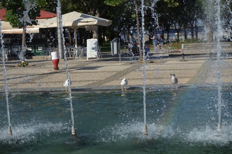 DSCF4533.JPG