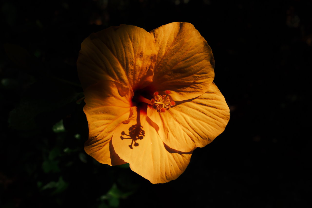 DSCF4543.JPG
