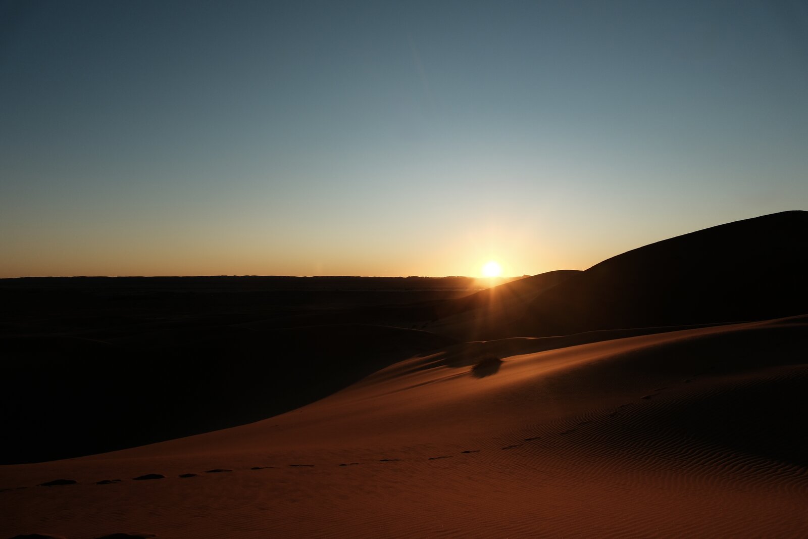 DSCF4739.jpg
