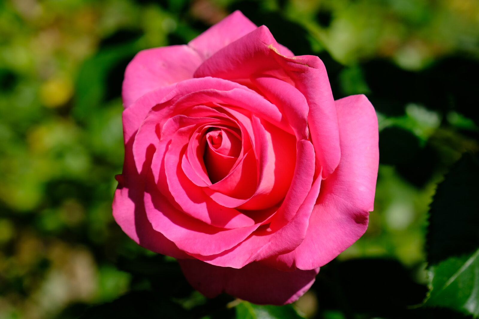 DSCF4758.JPG