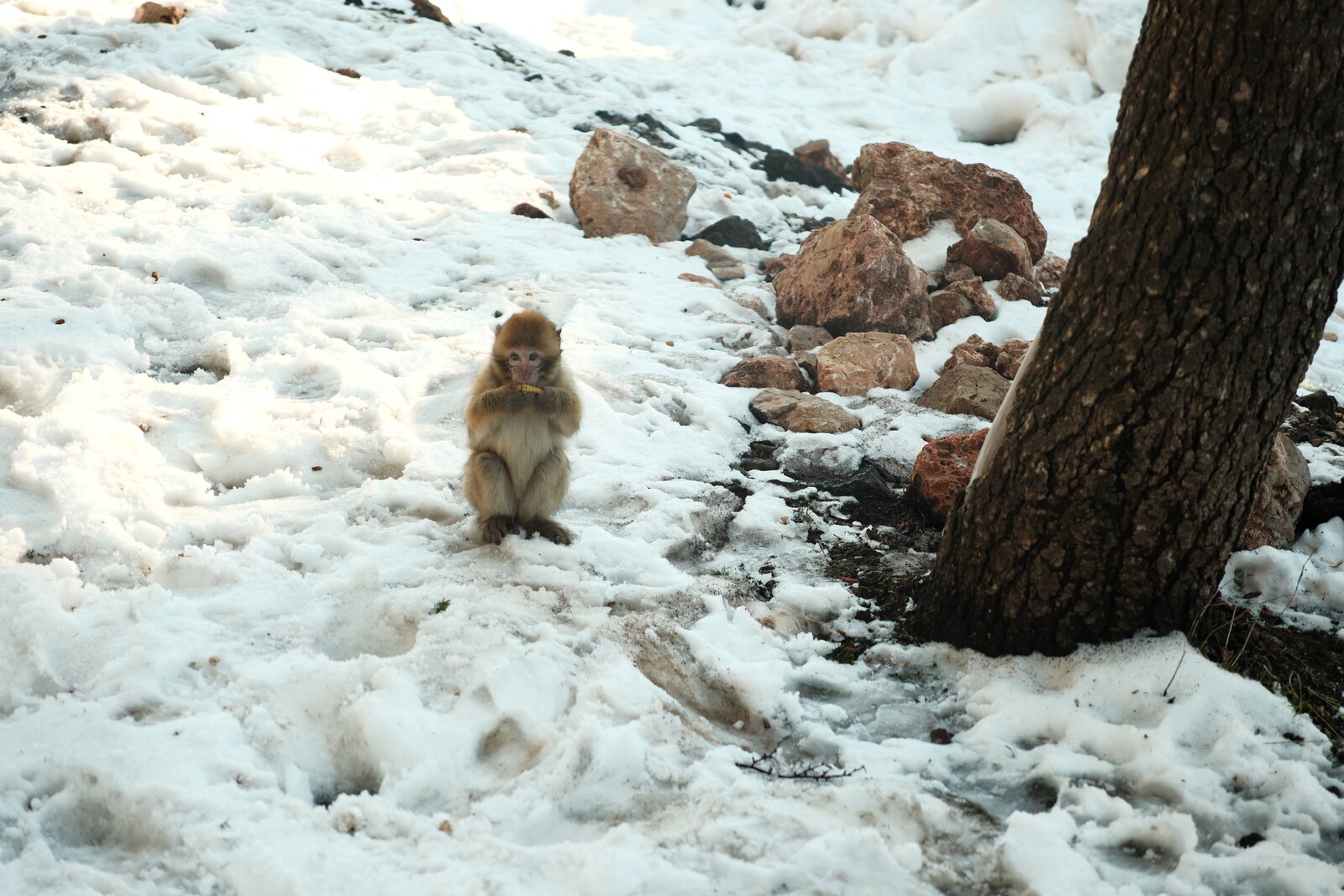 DSCF4951.JPG