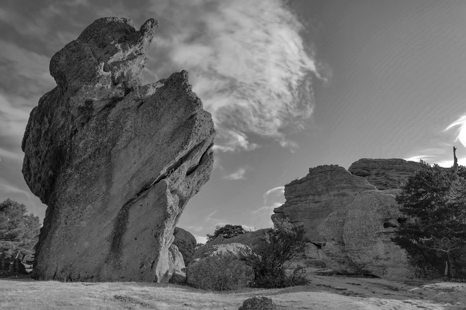 DSCF4977.jpg