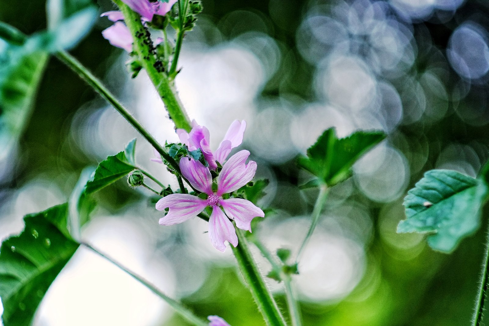 DSCF5031.JPG