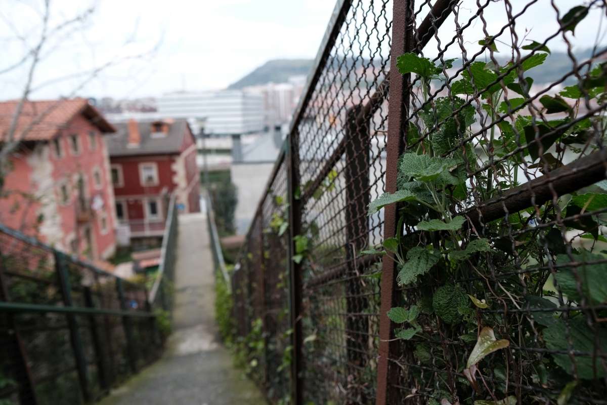 DSCF5039.JPG