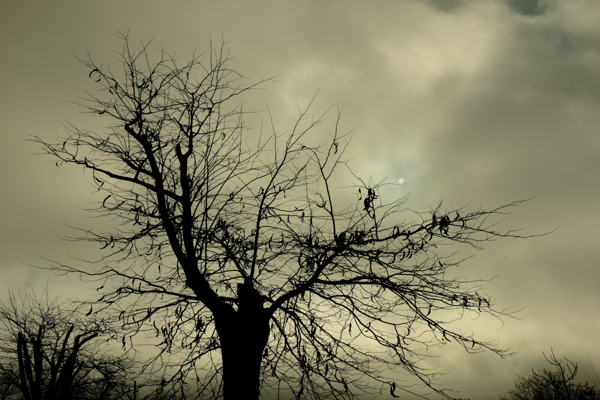 DSCF5095.jpg