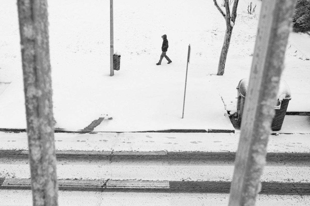 DSCF5115.jpg