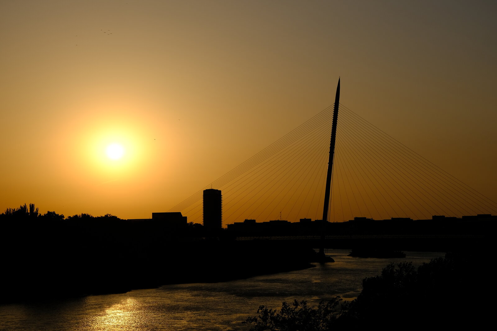 DSCF5170.JPG