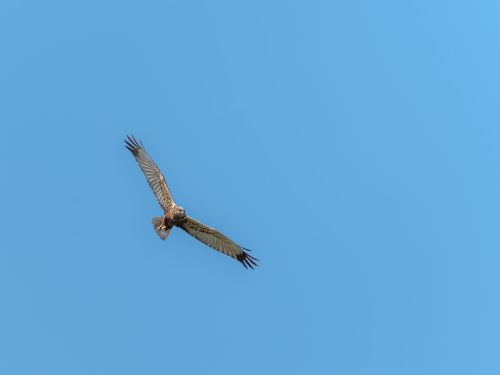 DSCF5194.jpg