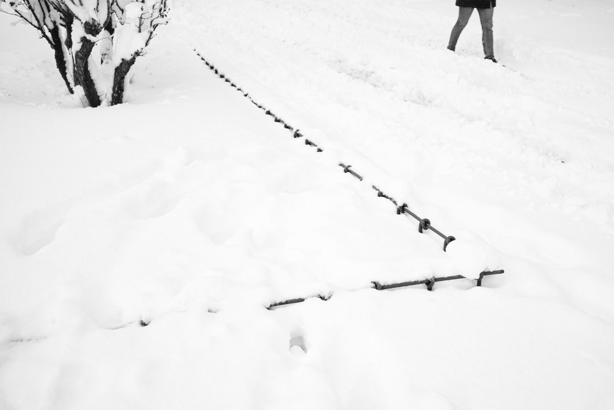 DSCF5274.jpg