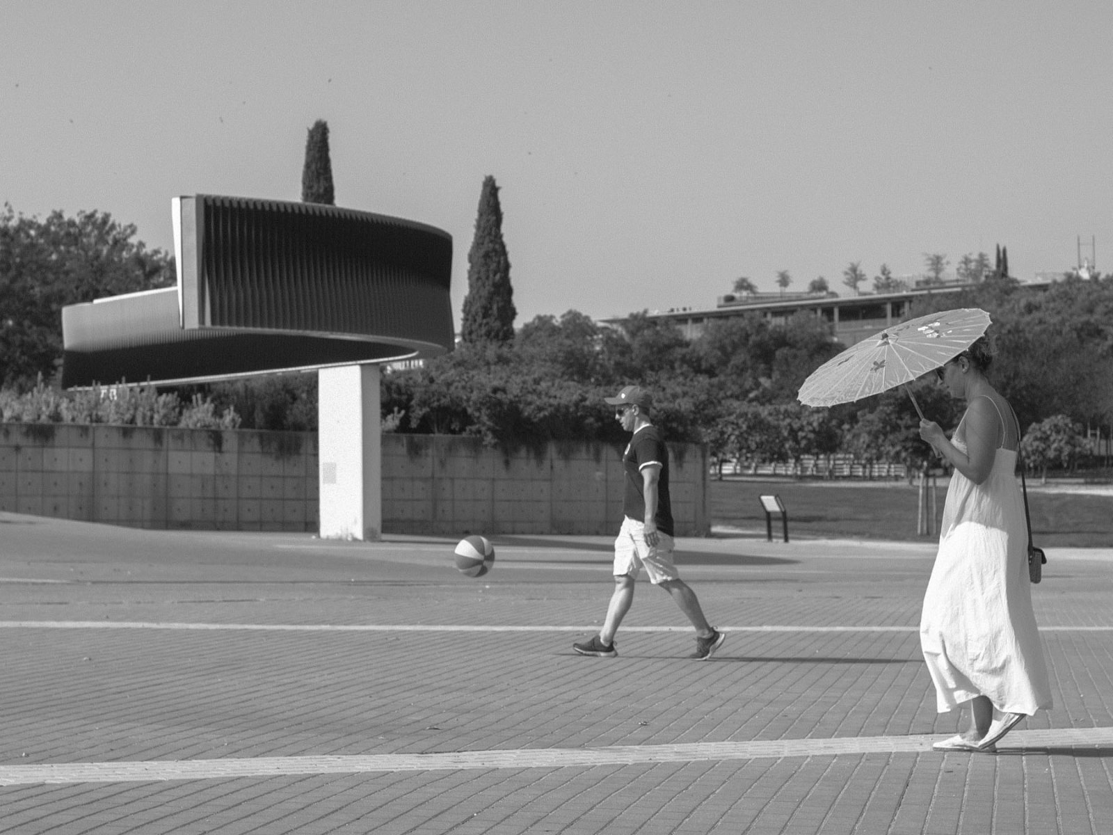 DSCF5446.jpg