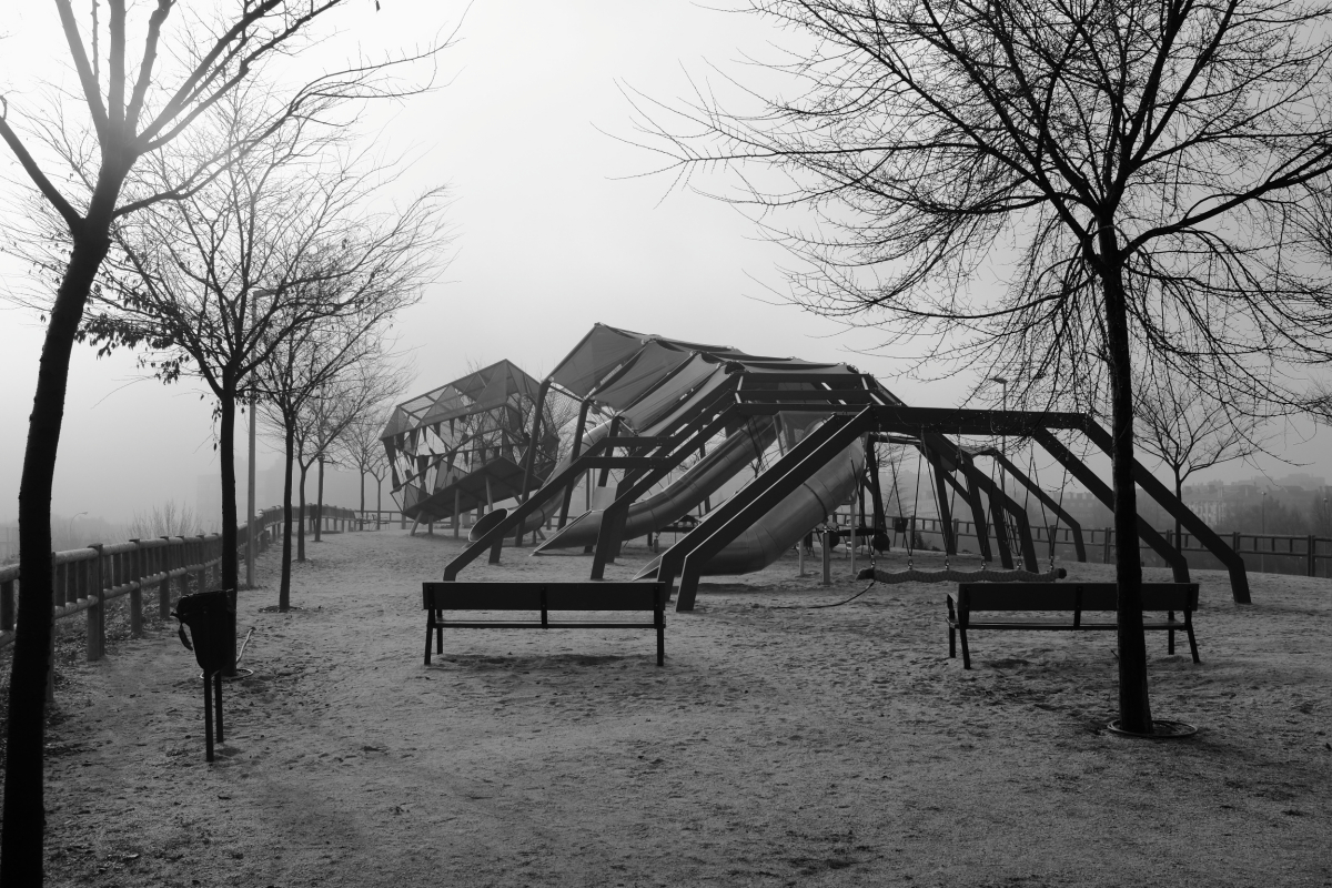 DSCF5446.jpg